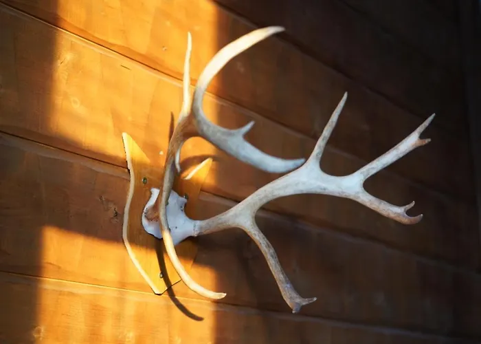 Le Ski Lodge & Steakhouse