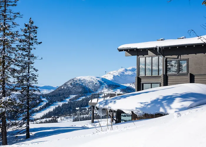 Copperhill Mountain Lodge